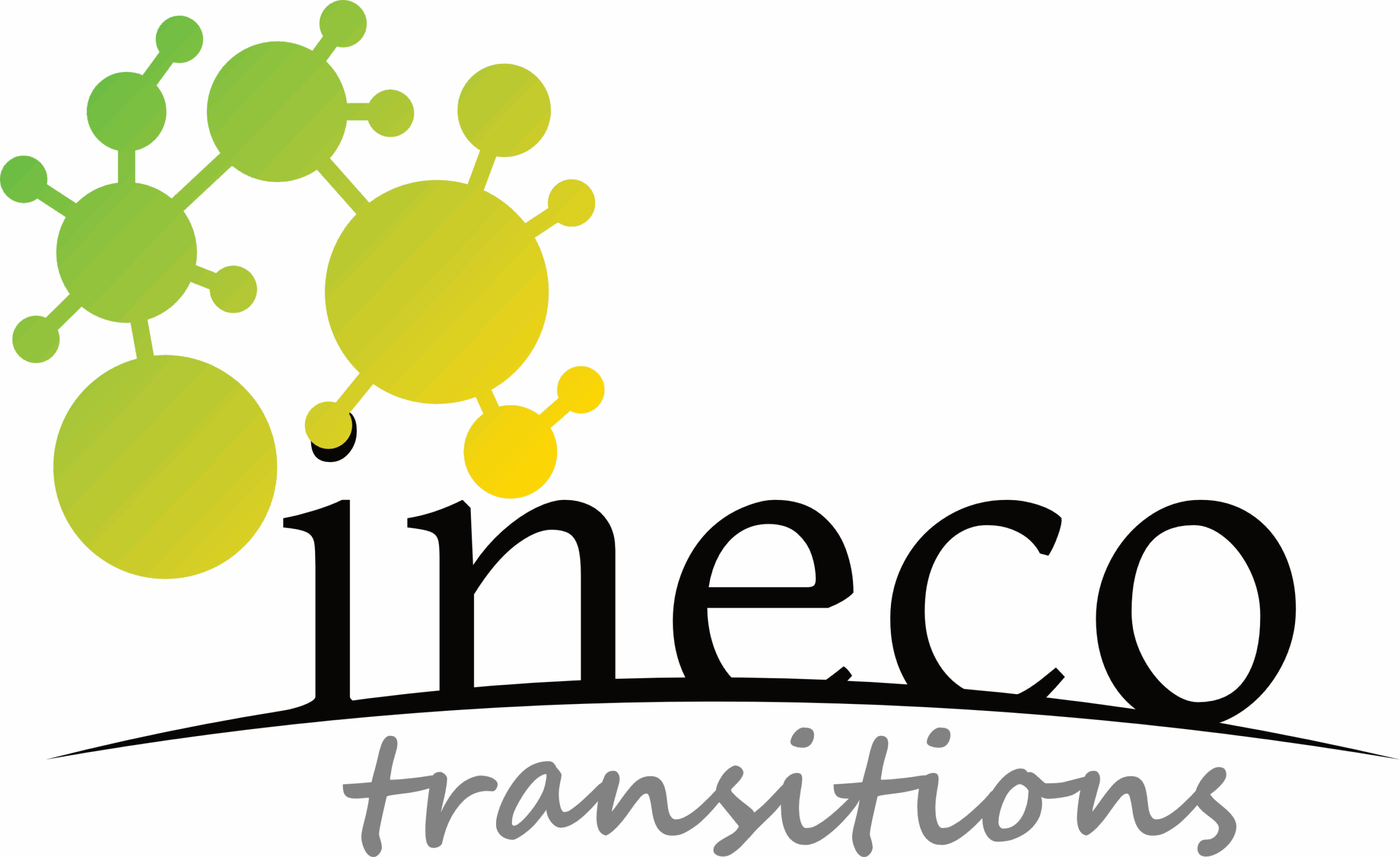 Ineco transitions